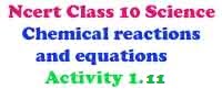 activity 1.11 class 10 science