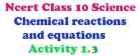 Activity 1.3 Ncert Science class 10