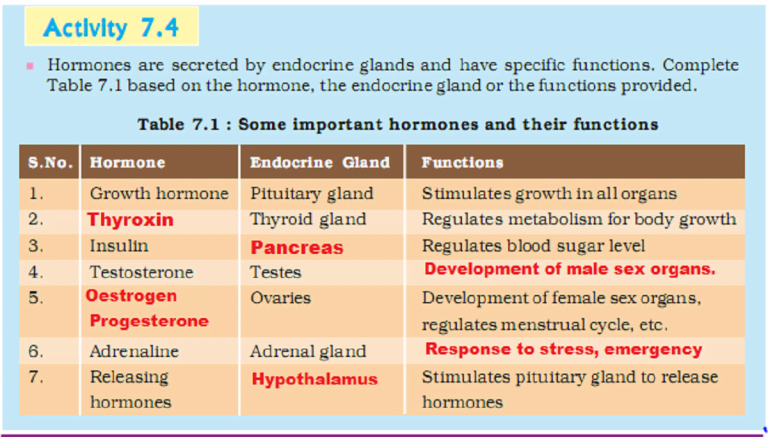 NCERT class 10 Explain Activity 7.4 Control and Coordination - Studdy