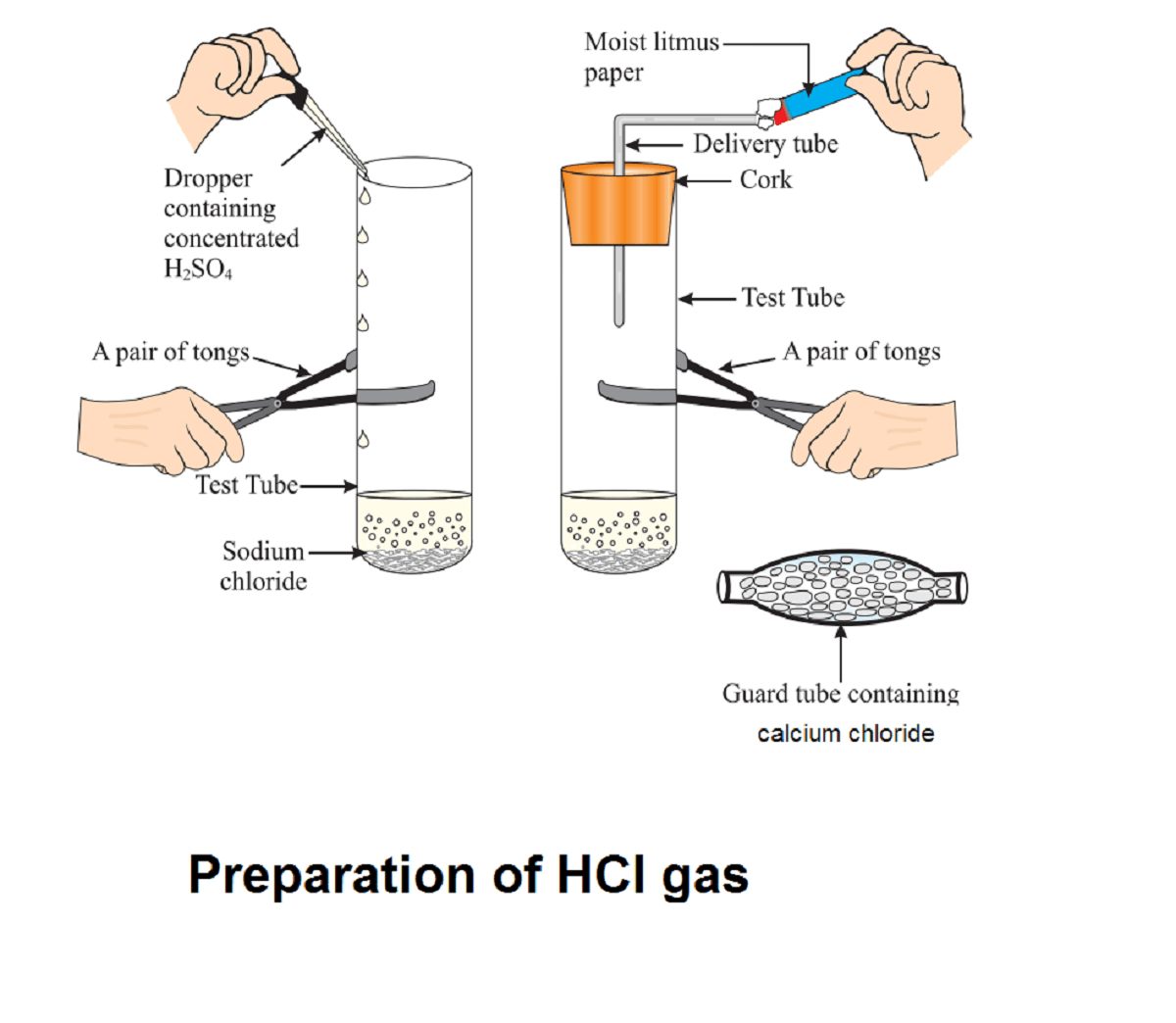 Cbse Ncert Notes Class Chemistry Acids Bases And Salts My XXX Hot Girl