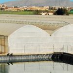 farmers grow fruits vegetable crops inside large greenhouses