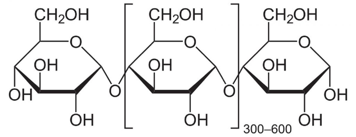 definition-and-meaning-of-the-term-starch-studdy