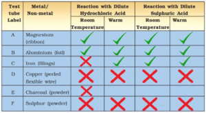 activity 4.6 class 8 science